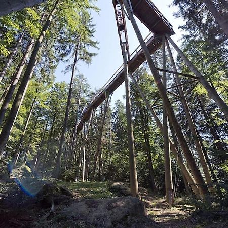 Cozy I Blockhuette Im Nationalpark I Ferienwohnung نويغايشيناو المظهر الخارجي الصورة