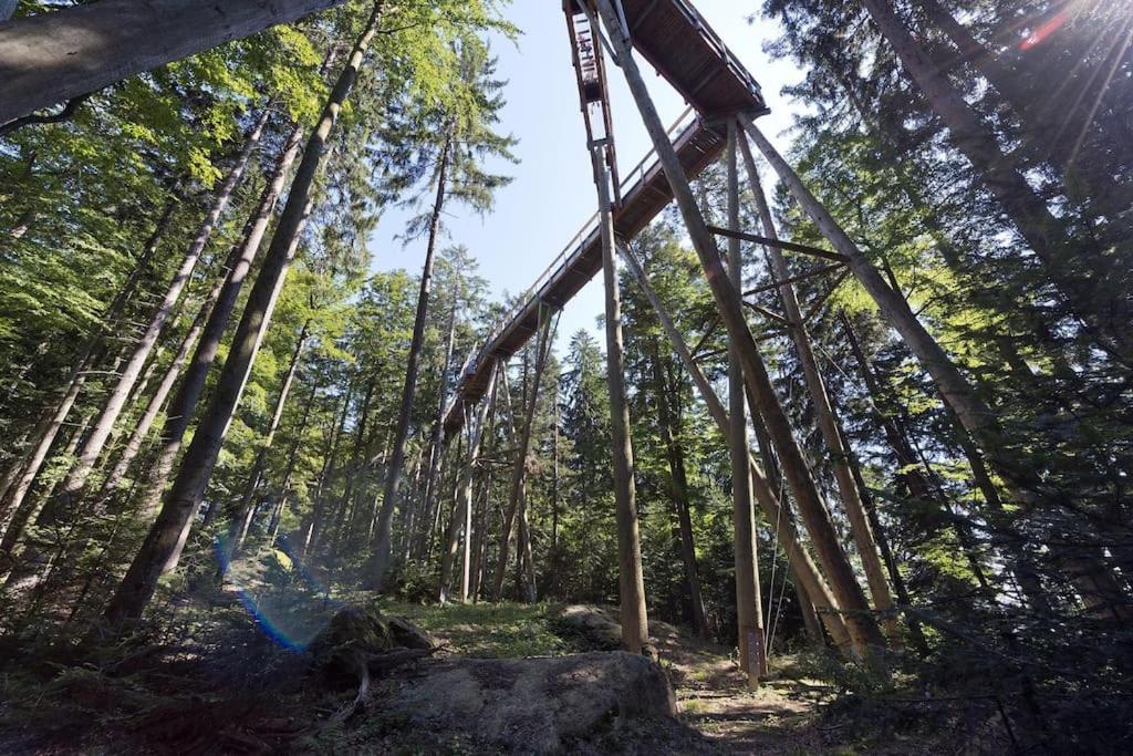 Cozy I Blockhuette Im Nationalpark I Ferienwohnung نويغايشيناو المظهر الخارجي الصورة