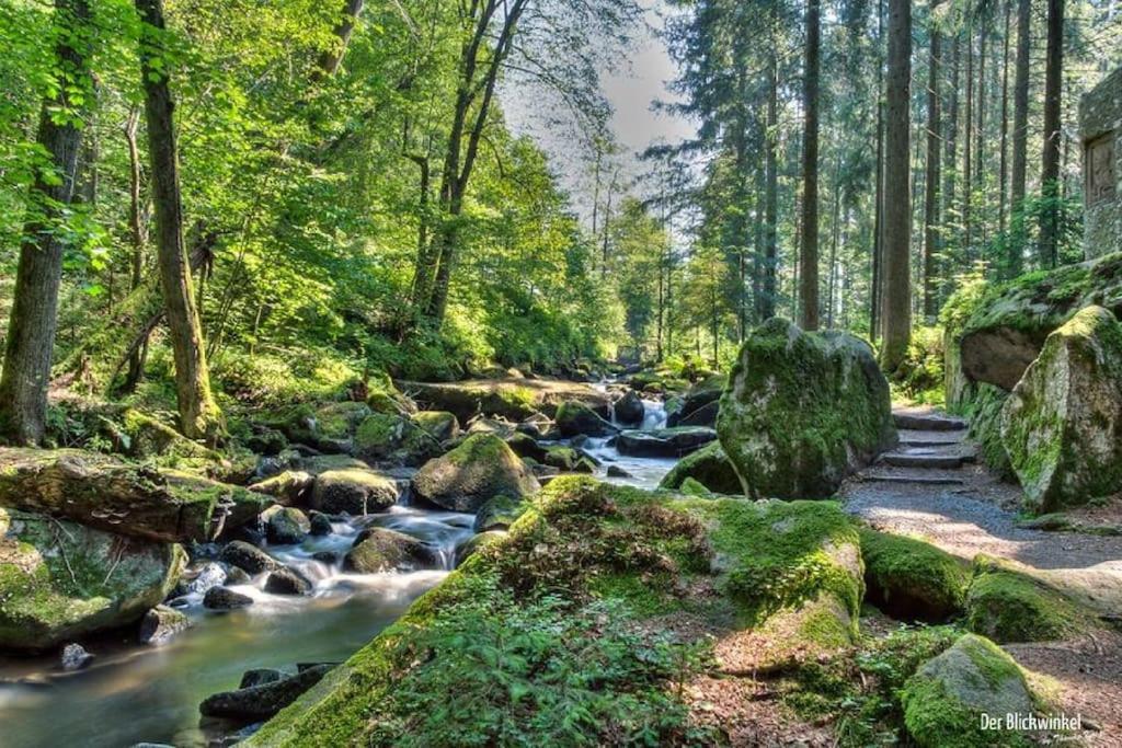 Cozy I Blockhuette Im Nationalpark I Ferienwohnung نويغايشيناو المظهر الخارجي الصورة