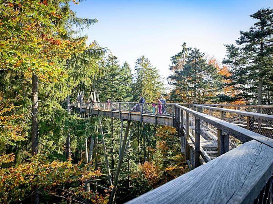 Cozy I Blockhuette Im Nationalpark I Ferienwohnung نويغايشيناو المظهر الخارجي الصورة