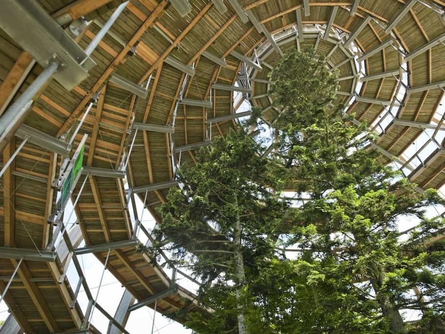 Cozy I Blockhuette Im Nationalpark I Ferienwohnung نويغايشيناو المظهر الخارجي الصورة