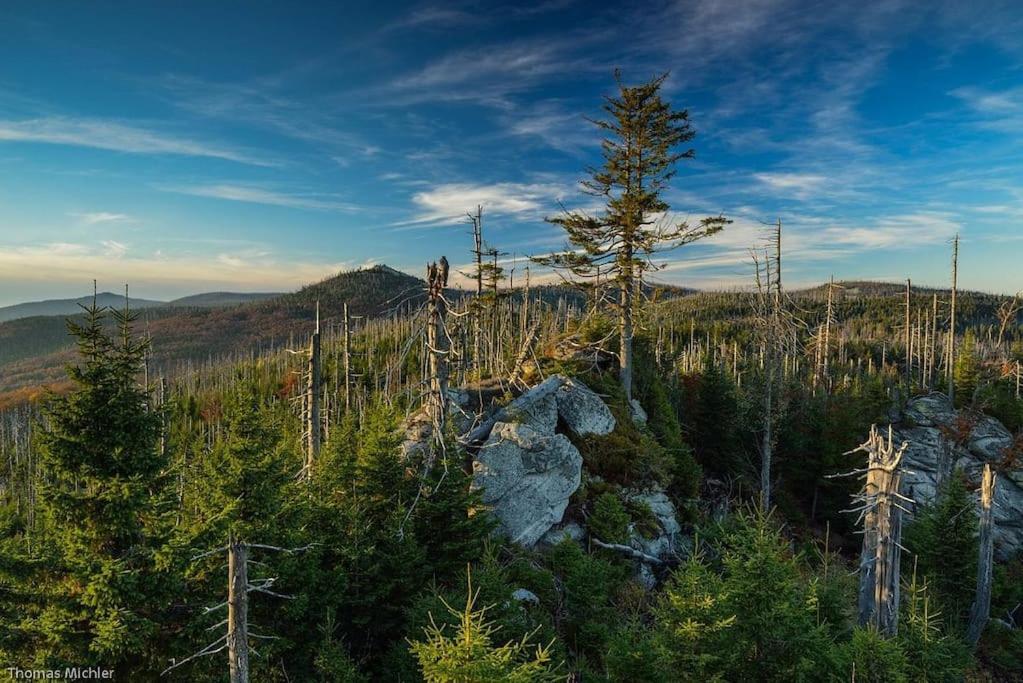 Cozy I Blockhuette Im Nationalpark I Ferienwohnung نويغايشيناو المظهر الخارجي الصورة